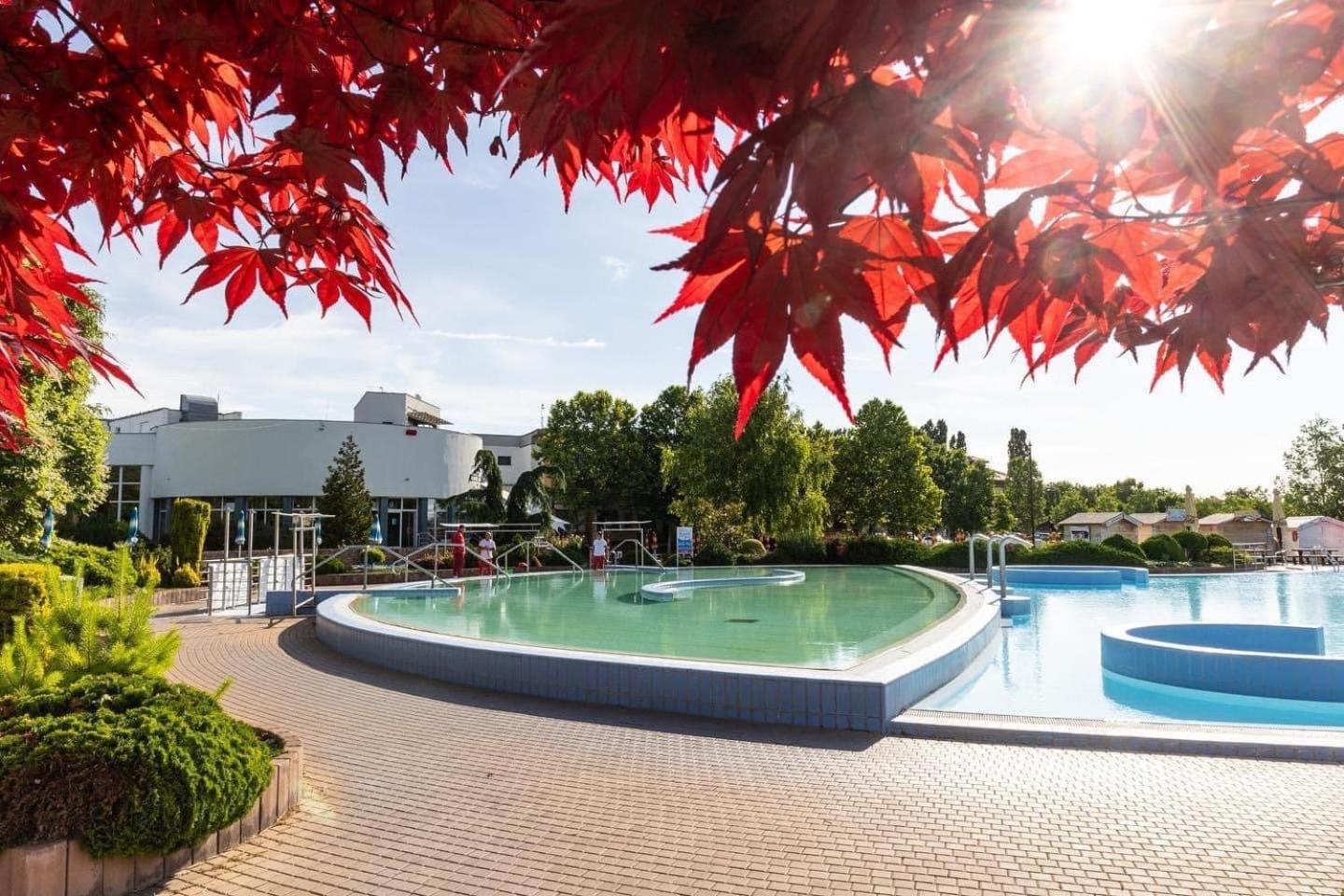 Dunajská Streda Dom Alex Pri Kupalisku Thermalpark מראה חיצוני תמונה